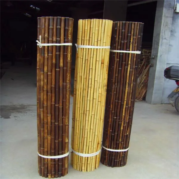 moso bamboo for sale near me