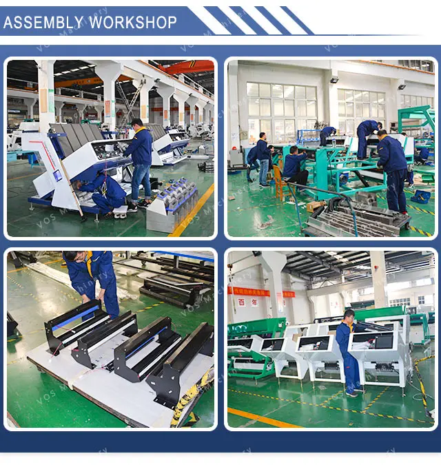 rice color sorter (4)