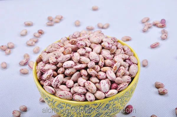Light Speckled Kidney Beans 8.jpg