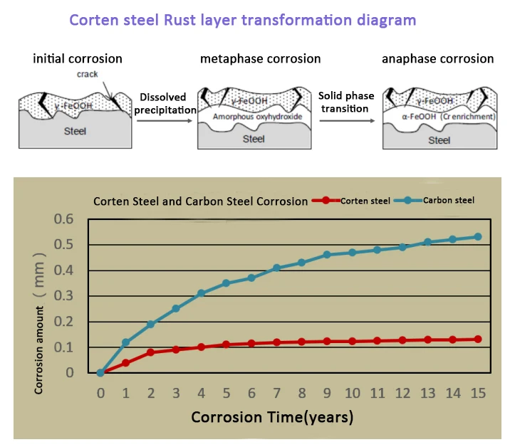 transformation diagram.jpg