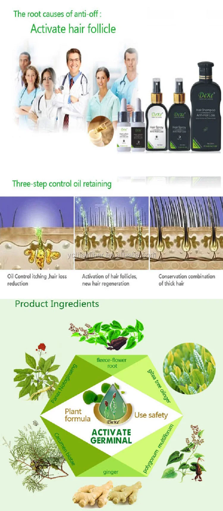 Chinese Herb Formula Anti hair Loss Hair Growth Shampoo Private Label