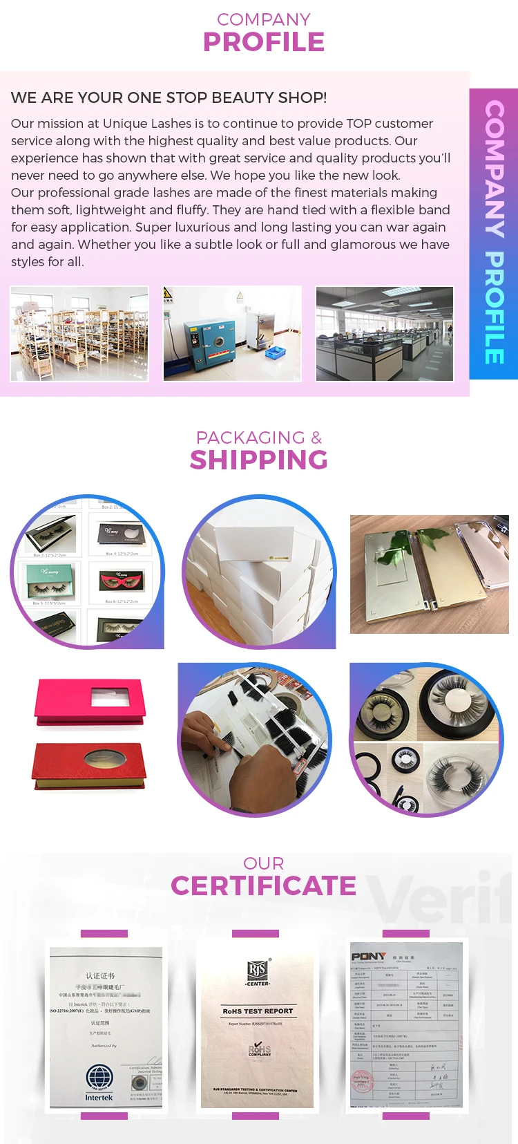 company information.jpg