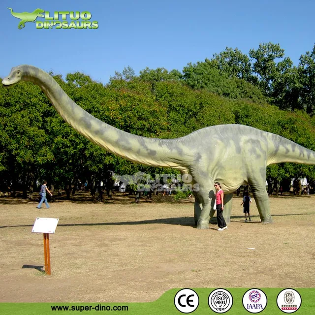ديناصورات حركة بظهر طويل وعنق 26 م من Diplodocus Buy 26m طويلة الديناصورات متحرك الديناصورات 26m ديبلودوكس Product On Alibaba Com