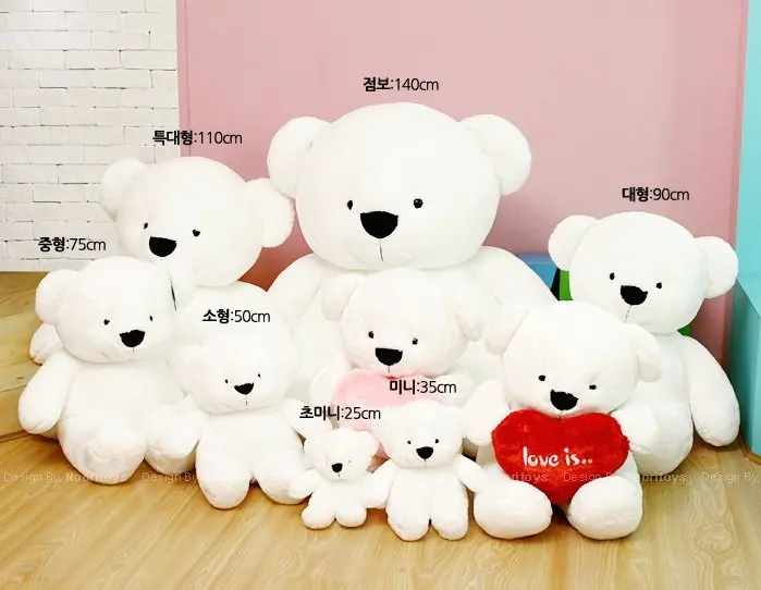 teddy bear korean