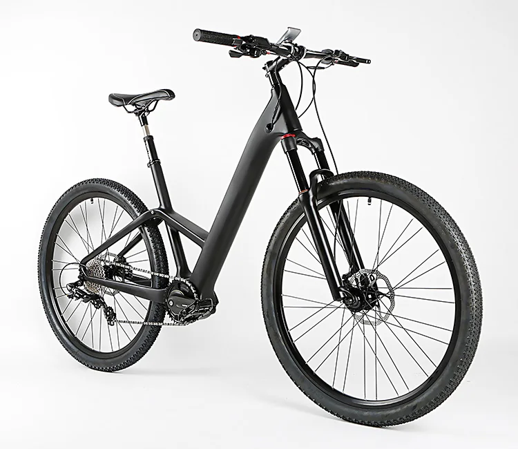 

OEM e bike hidden battery electric bike 250w, Black