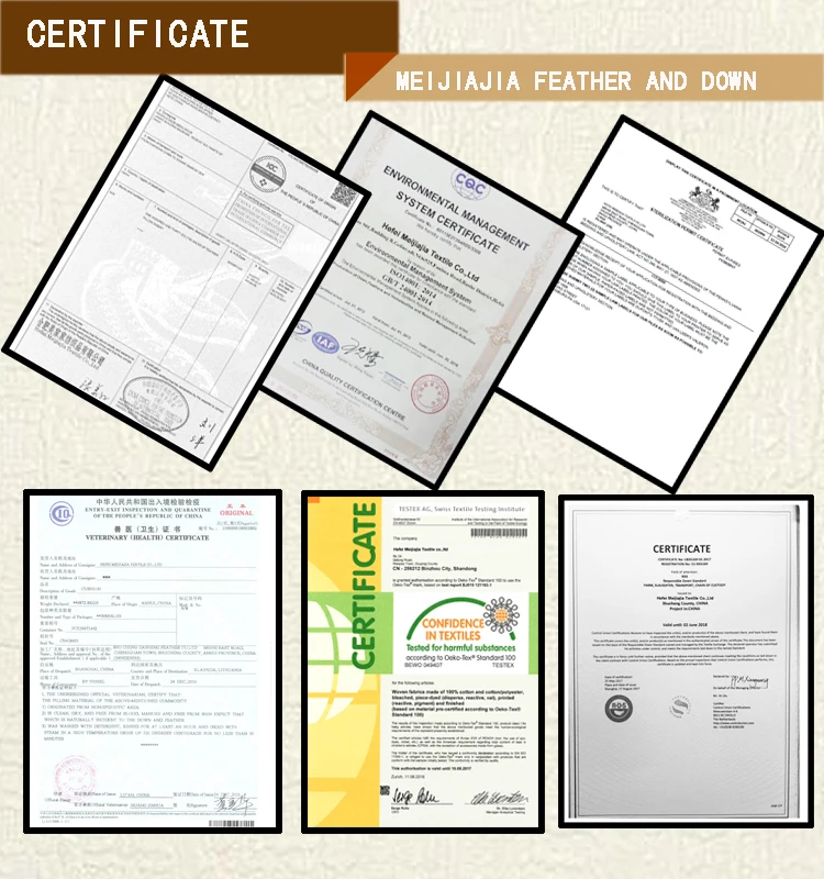 Certificate -2 750x800-1