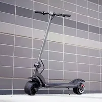 

1000w Wide Wheel Brand Dual Motors 2 Wheel Electric Scooter