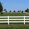 Fentech Plastic Vinyl 3-Rails horse training fence