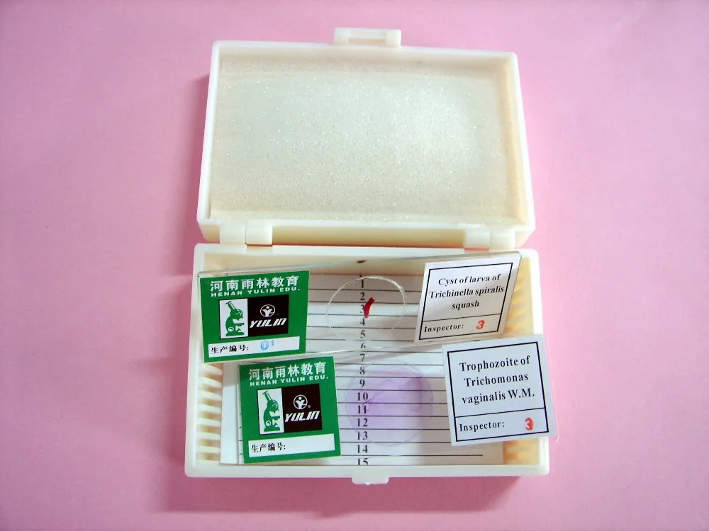 60 Years Factory Direct Support Customization Education Equipment For