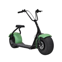 

free gift big sale custom 1000w mobility scooters EEC fat tire electric chopper motorcycle off road electric fat bike