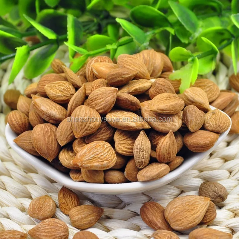 
Grade AAA Organic Bitter Apricot Seeds For Export 