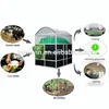 Teenwin China new biogas digester for animal waste for generating