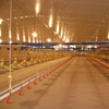 Biggest poultry house/chicken house steel building with full poultry house automatic equipment supplier in Qingdao China