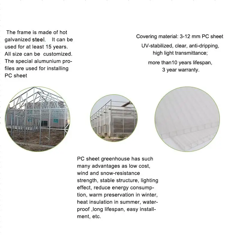 PC sheet greenhouse
