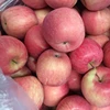 apple fruit fresh chinese fuji apple kenya apple mango