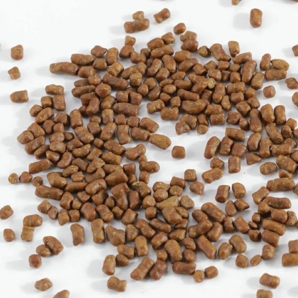 High Mountain Black Tartary Buckwheat Tea,Bitter Buckwheat Granule Tea