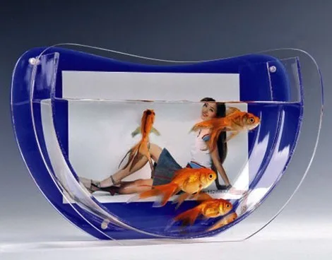 Acrylic fish tank (FT-010).jpg