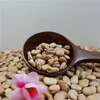 Dried light yellow broad bean,90-110grains/100g,2019 crop