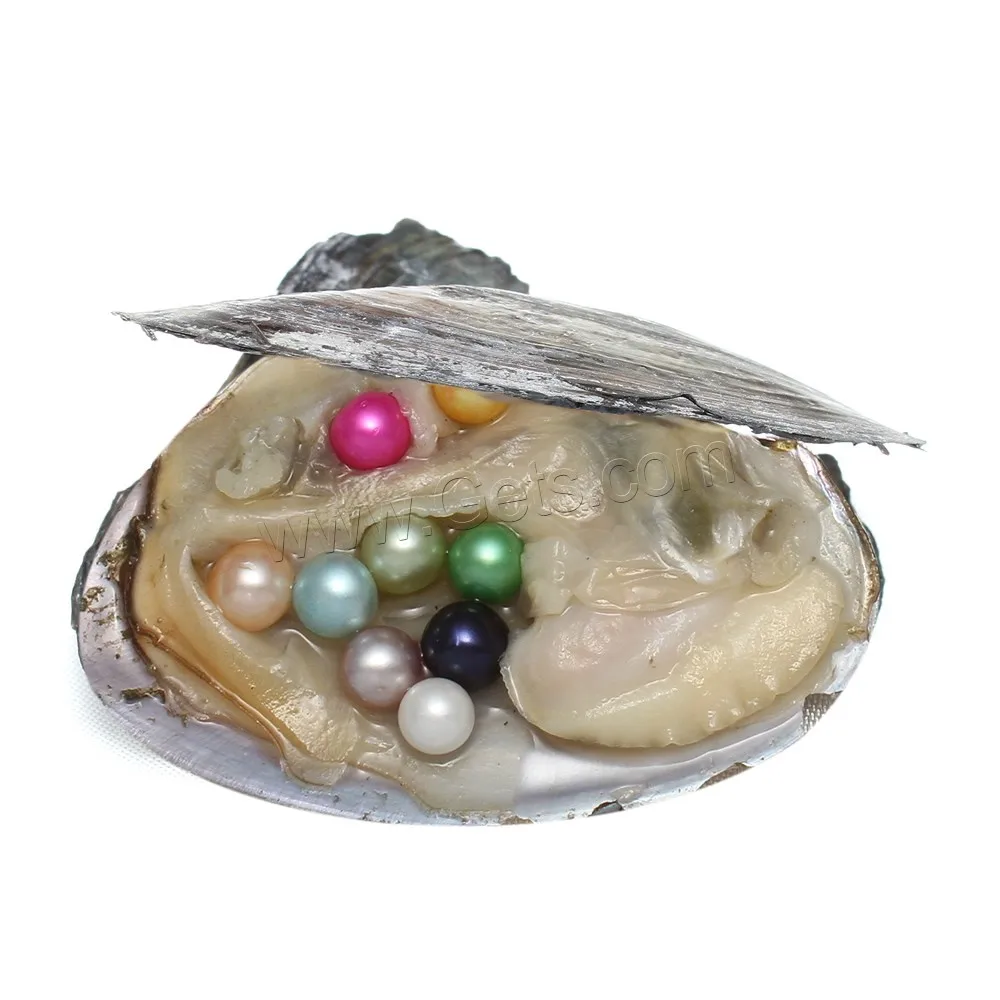 

19 colors vacuum-packed wholesale 7-8mm round no hole pearl oyster