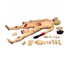 ISO Certificate medical trauma nursing model