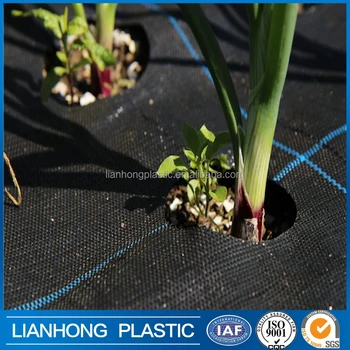 Manufacture Pp Ground Cover Weed Barrier Fabrics Mat In Manufacture Pp Ground Cover Weed Barrier Fabrics Mat In Vegetable Garden