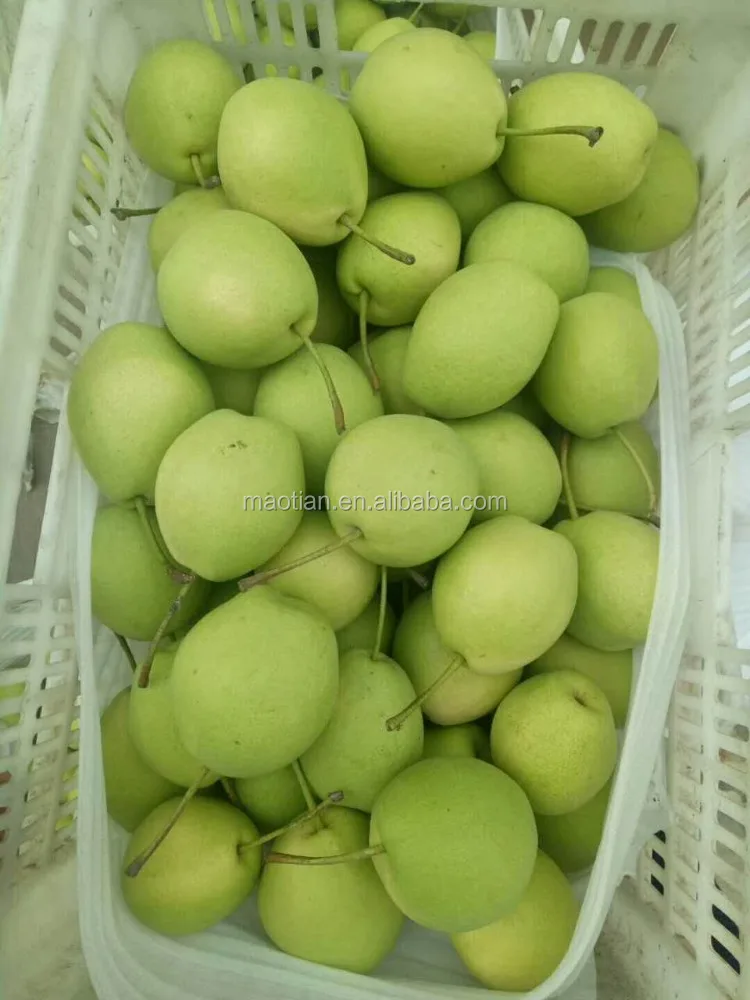 
Year 2017 Shandong Pears 