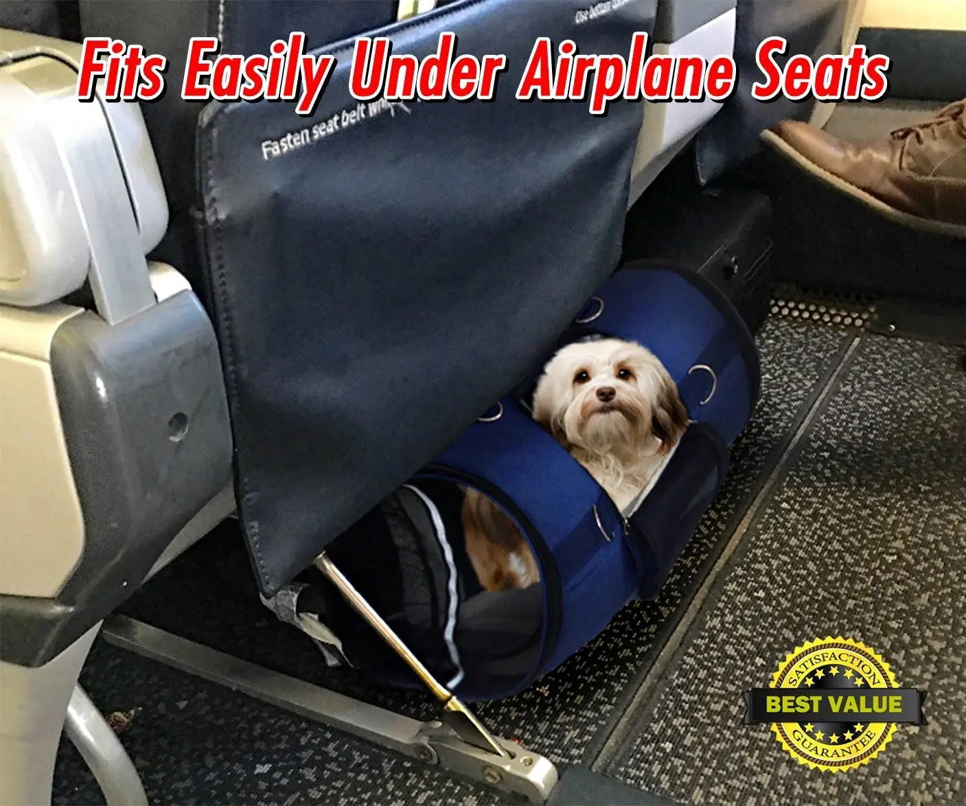 airplane dog bag