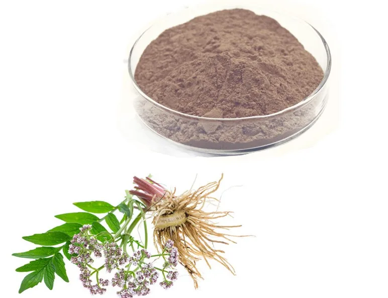 Natural water soluble valerian root extract