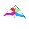2.5m outdoor sport toy nylon delta Kite for adult