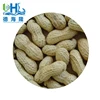 /product-detail/blanched-kernels-29-33-peanut-in-shell-9-11-can-use-making-machine-make-awesome-peanut-60634720684.html
