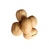 Health food Full Safely Walnuts