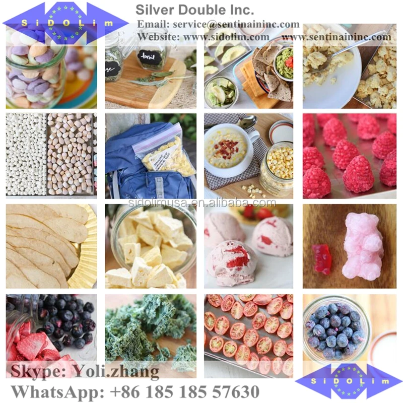 freeze dried fruit 2