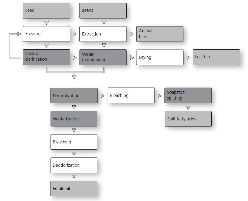 Soybean Oil Plant With Pretreatment And Solvent Extraction And Refining