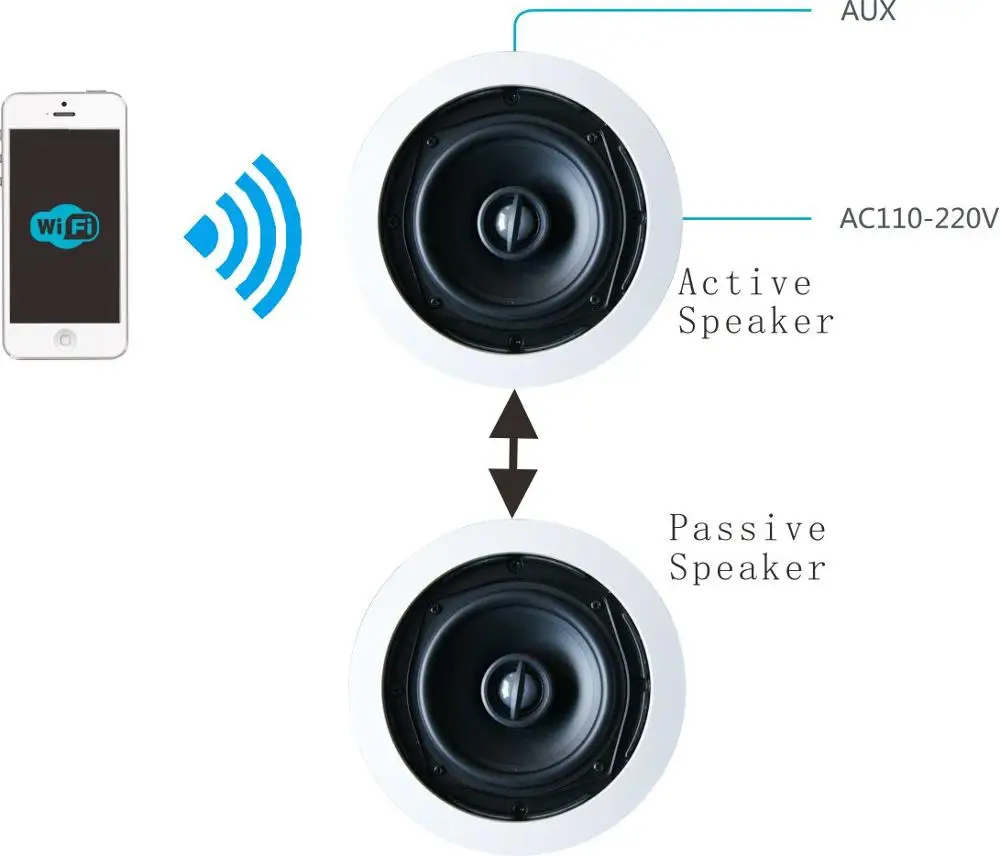 Active Wifi Ceiling Speaker System Multi Channel 5 1 Surround Sound Wifi Top Suction Ceiling Loudspeaker Buy Wifi Speaker Wifi Ceiling Speake