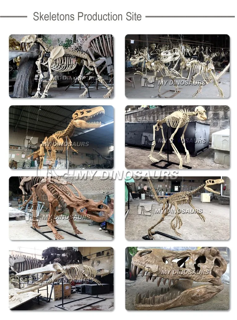 fake dinosaur fossils for sale