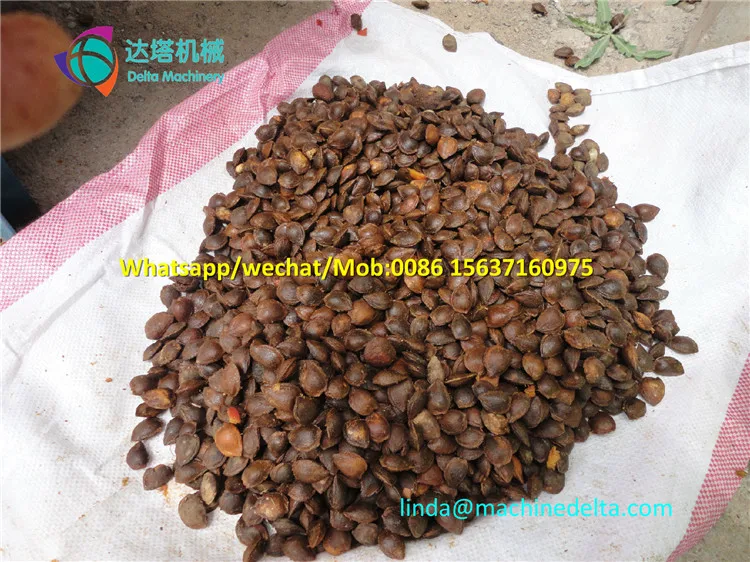 final product of fresh almond seed removing machine