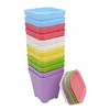 Colorful Organic biodegradable Custom Eco-friendly safe reusable Environment Friendly bamboo fiber flower pot