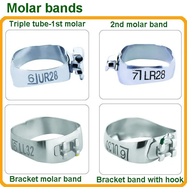 All Orthodontic Dental Material Molar Bands Buy Dental Material All
