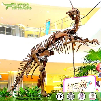 life size dinosaur skeleton for sale