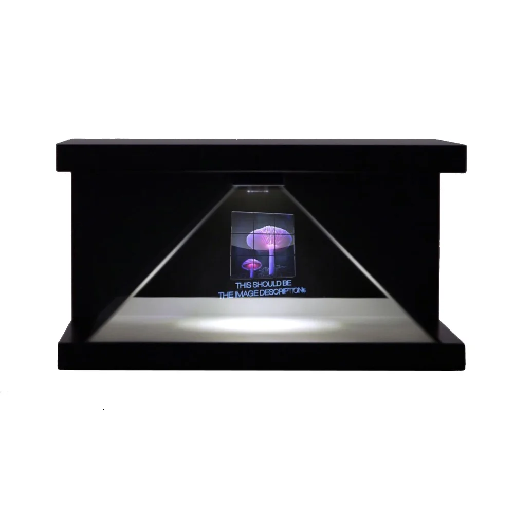 

3D Holographic Display Holo Box Hologram Equipment With Factory Price