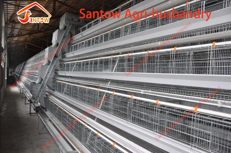 Poultry design layer chicken cages 128 layers per set