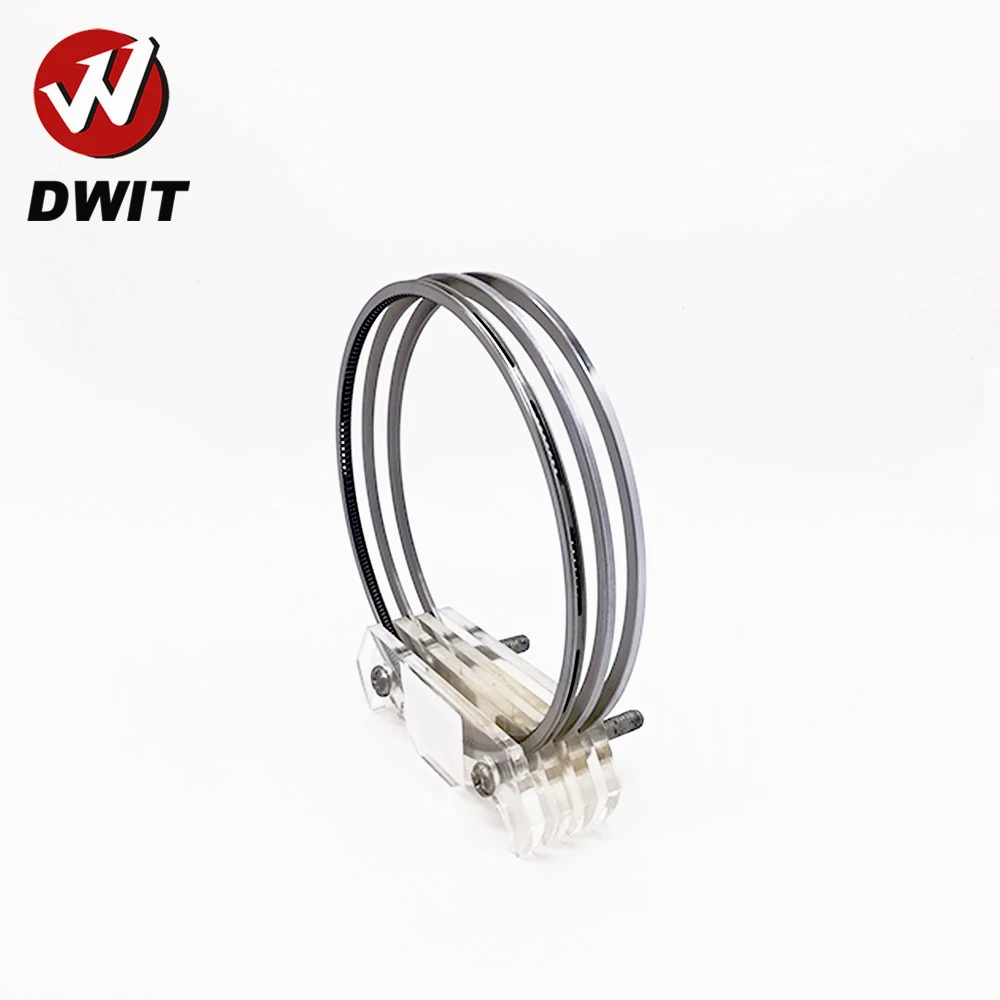 dwit 2114321 01.jpg