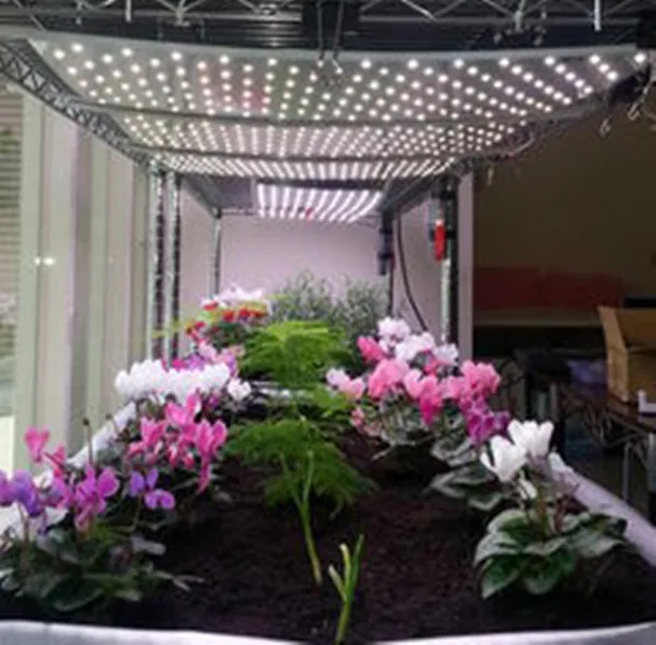 led pcb plant grow.jpg