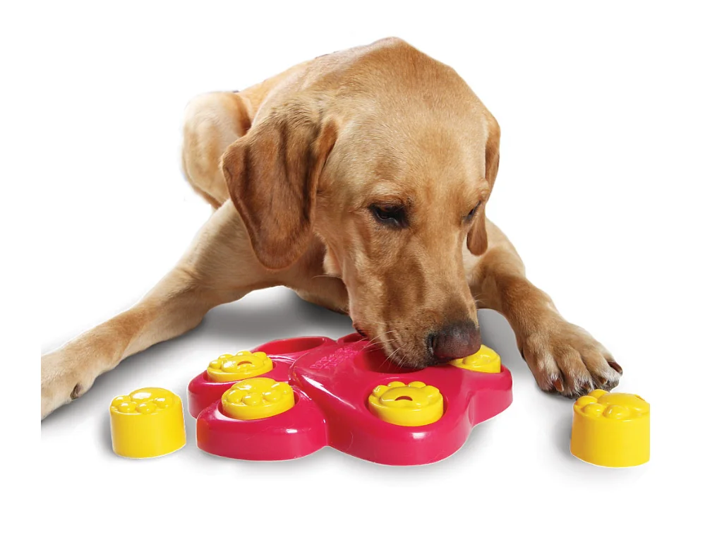 Wholesale High Quality Training Dog Intelligence Toy Buy Best Toys