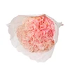 Single hydrangea long stem Natural flower preserved Alps hydrangea table Decoration