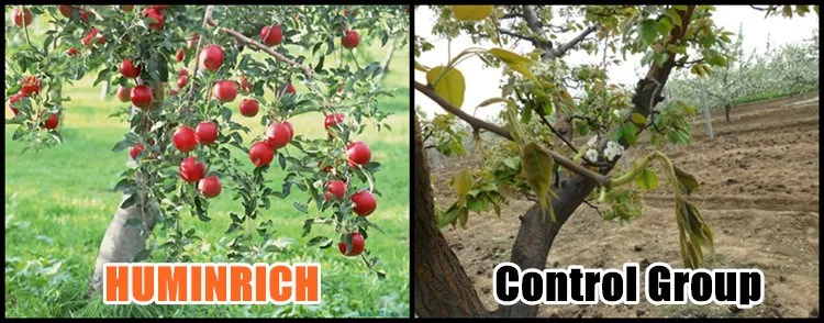 Copper Foliar Fertilizer.jpg