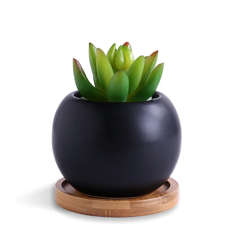 Sale Round Pots Indoor Small Succulent Pots With Bamboo Tray Buy