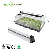 

japanese chinese vegetable microgreens mini rose flower indoor pots plant seeds tray