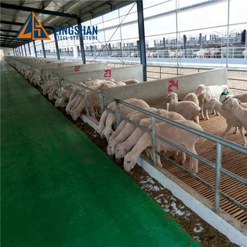 Low Cost Prefabricated Steel Insulated Roof Goat Sheep 