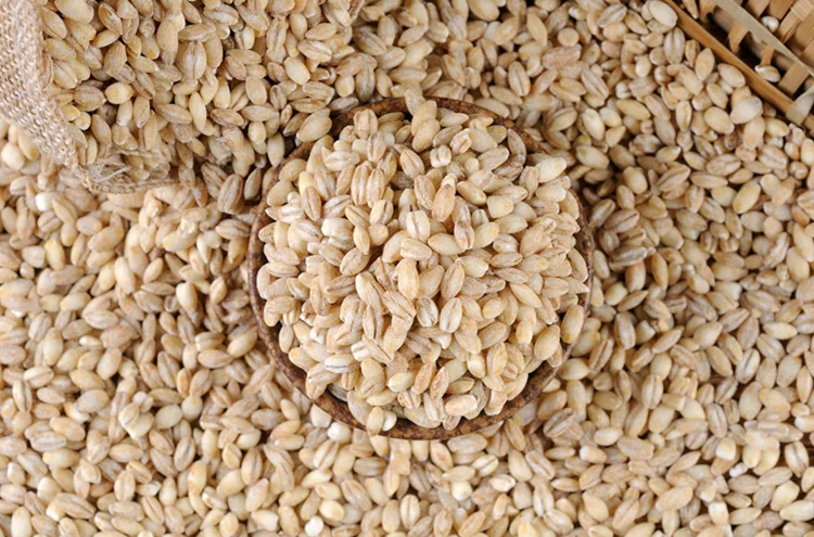 wheat_grains (1)